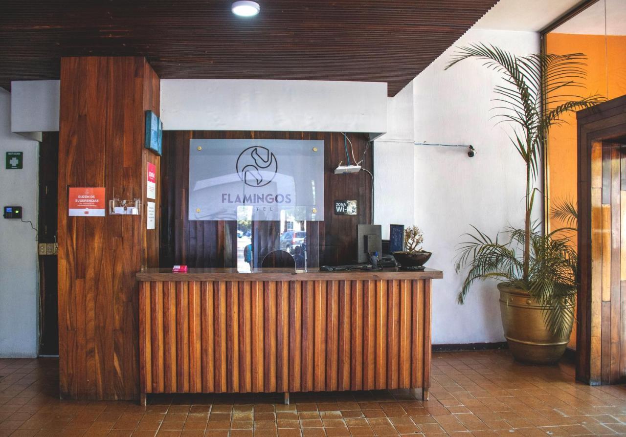 Hotel Flamingos Γκουανταλαχάρα Εξωτερικό φωτογραφία