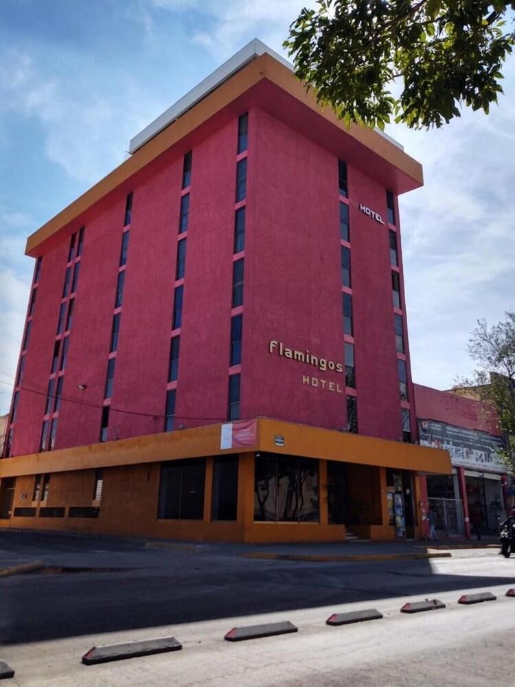 Hotel Flamingos Γκουανταλαχάρα Εξωτερικό φωτογραφία